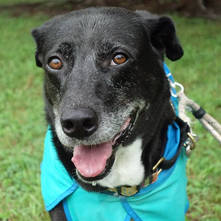 0687e7ae 93b5 4515 b61c 6273a3085418 1719102561012