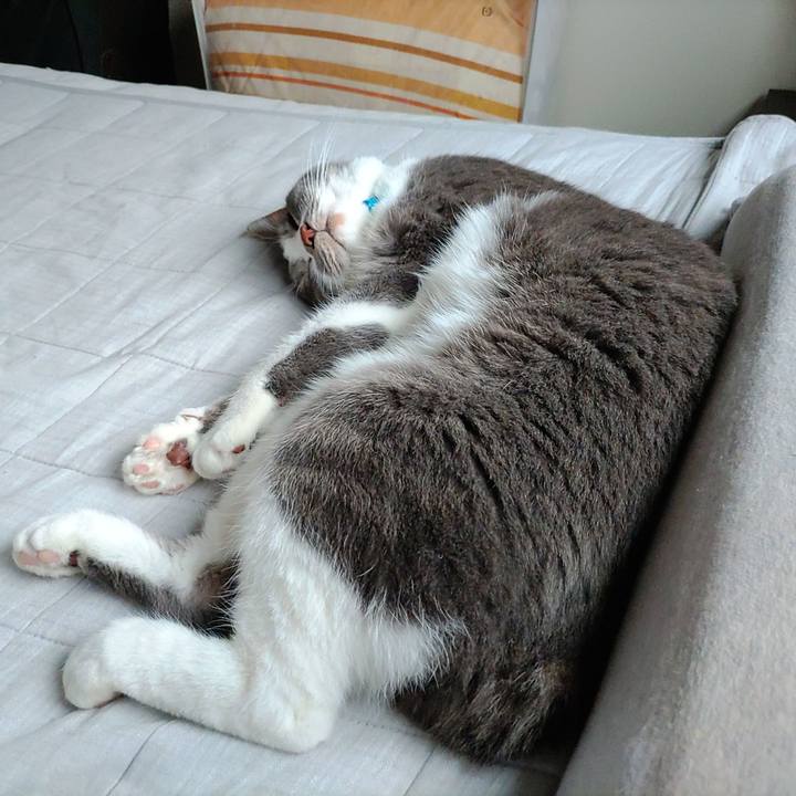 0687f536 a63b 48d1 a83b 2f74dcf5377f 1682846813168