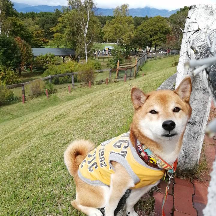 0687fc5c 7ed9 48bb 8638 63b65e98a163 1665241021298