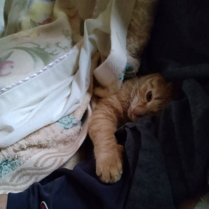 06880d48 7dfc 4c56 a4cf 859450907a31 1681252844651