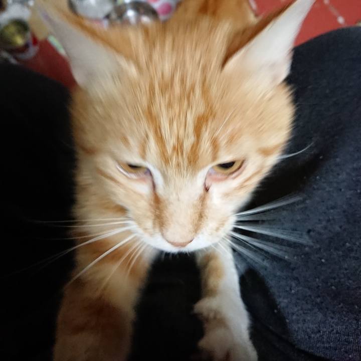 06884298 7287 4911 a487 cf3949819a90 1560282327817