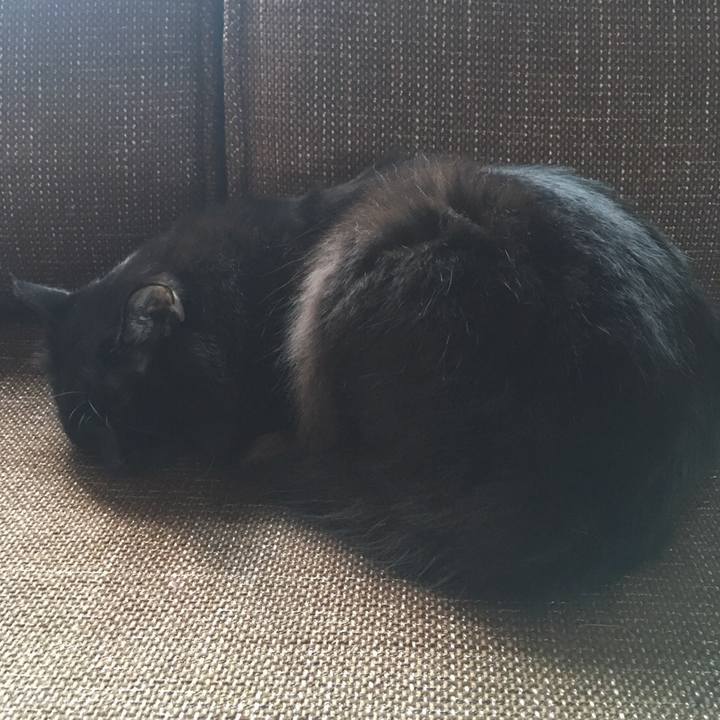 068889f9 4027 4223 a712 f396701c727a 1508476512300