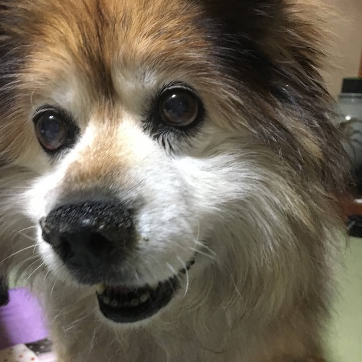 06889ece ad74 4570 a324 29f3ab80c475 1561754707814