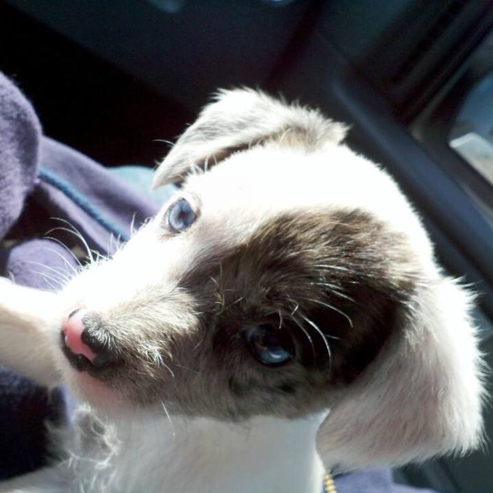 0688af8b 4231 4129 872f b20b69761f24 1549838560999