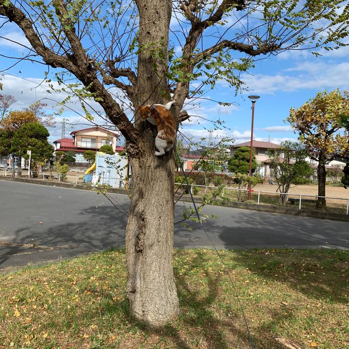 0688c3ab f847 44a0 b576 50633596ea7e 1573353660611