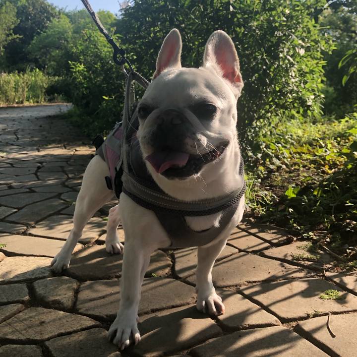 0688da0a 001d 4cfa 8e32 259fb7a10a83 1651726501946