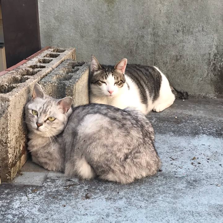 0688e25c b892 4d50 9fe6 1de5b6032b1c 1590316075446