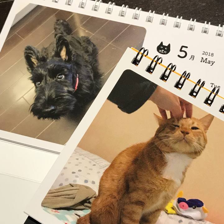 0688ec9e ef7b 4eba b655 b3b2964cb632 1525192091791