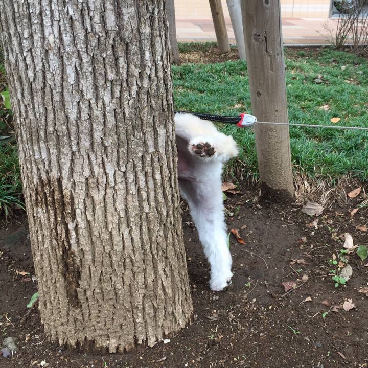 06890b58 a6c3 4a9c 9a73 b556c3b1aa5a 1538200215779