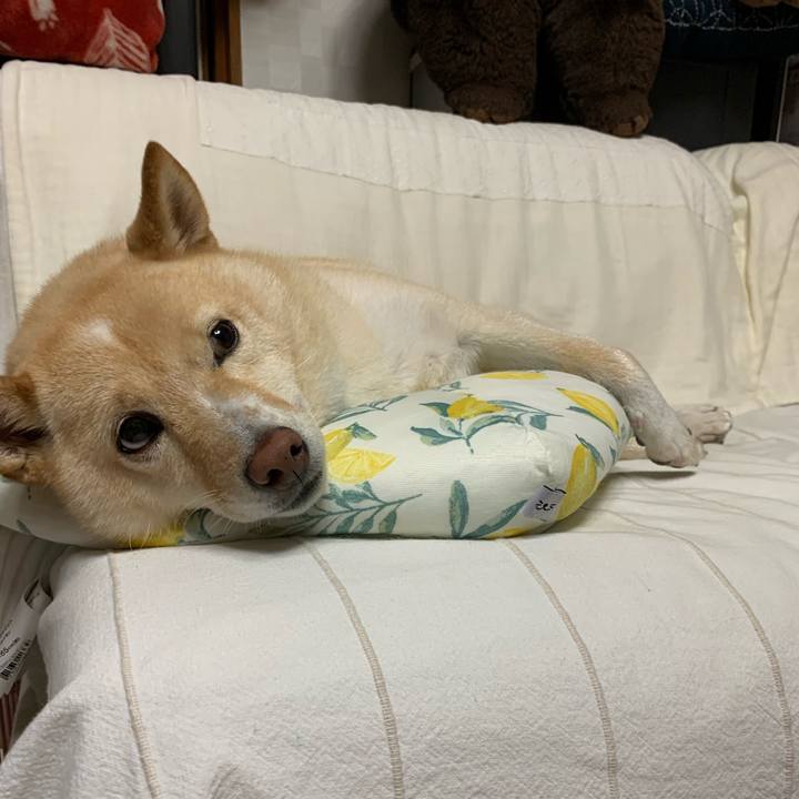 06891437 1dd0 4cf6 881c 238e4e20e230 1631191581874