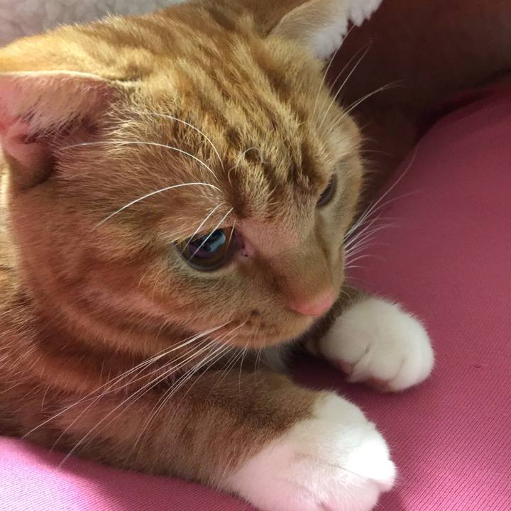 068926e5 91ff 4d98 8c3f 167070b10118 1514419461355