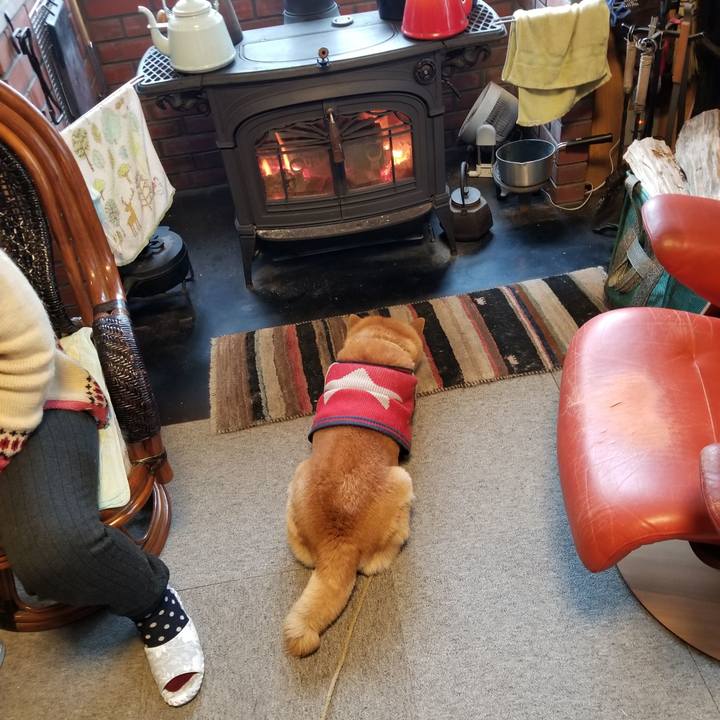 068949d4 013d 4fc7 b8a6 f37135380335 1610405989478