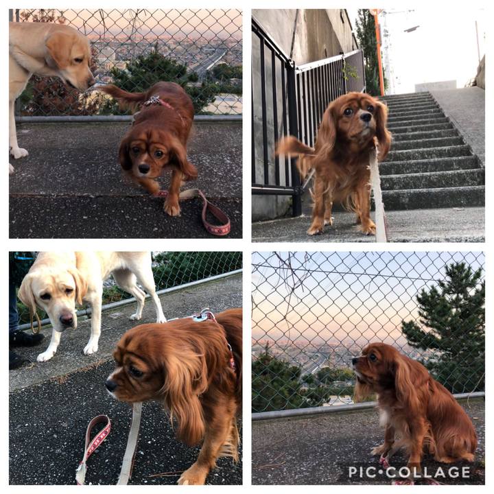 06895133 dc5c 42fa 9352 18539db01aa9 1572079066337