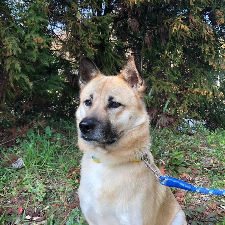 068958d9 d81e 49af 8f33 2f88ca43fd31 1551168505558