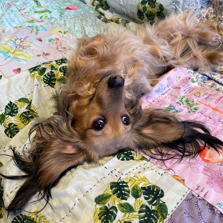 0689ad47 ae14 4c0e a1f6 67925ad6e77b 1712824884410