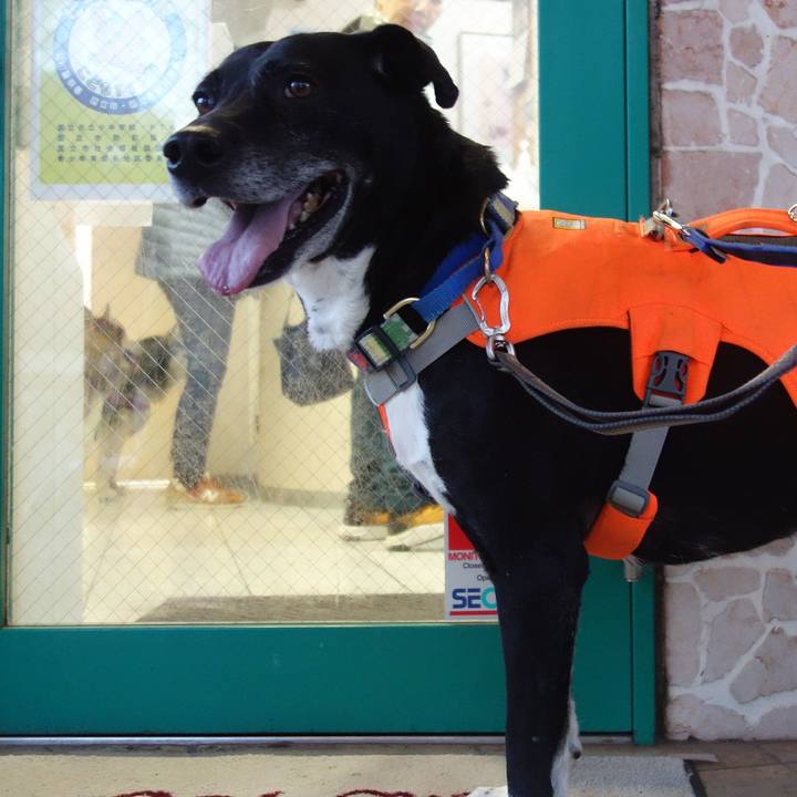 0689d596 0d17 4909 abed f2ca9df3f154 1710932732640