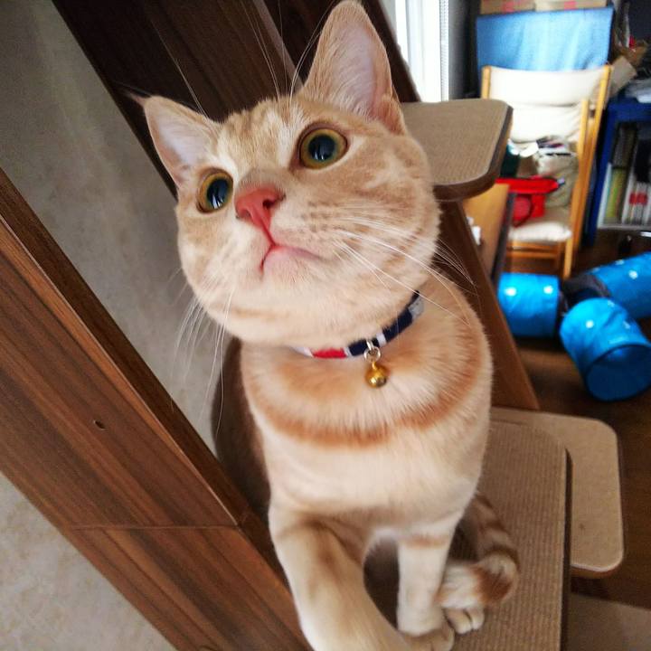 0689d752 eba1 4aa0 8c01 23718d2aea55 1551825617742