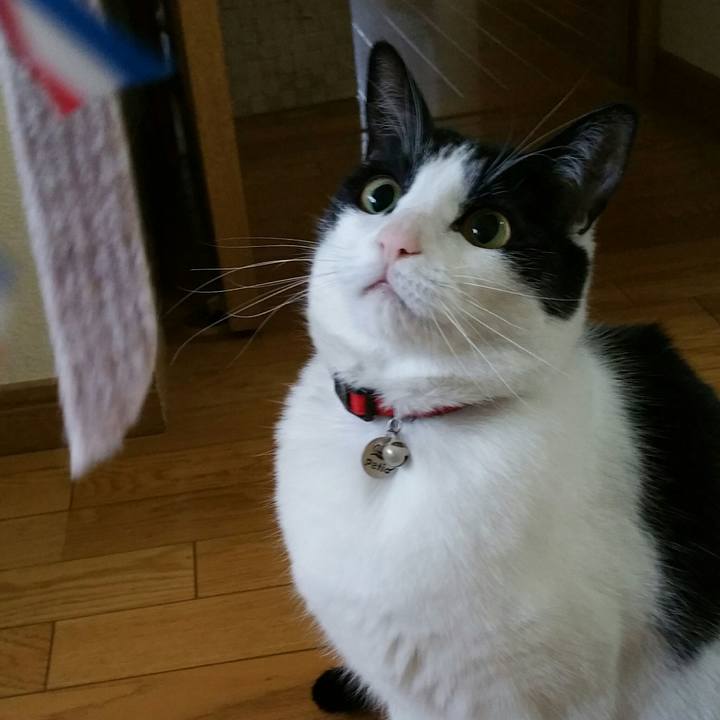 0689f0cb 2432 42c6 92b5 e695beb35e54 1522973054392