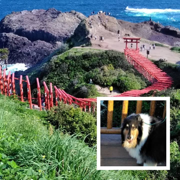 068a16b9 d7de 4117 961d 1323342dc931 1525421896405