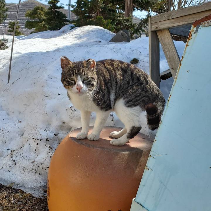 068a59e8 2d13 47dd aa4e cf6f10696d5a 1713237003211