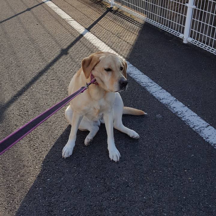 068a78ff cef9 41f7 8918 d0c16eba8ed2 1514892425389