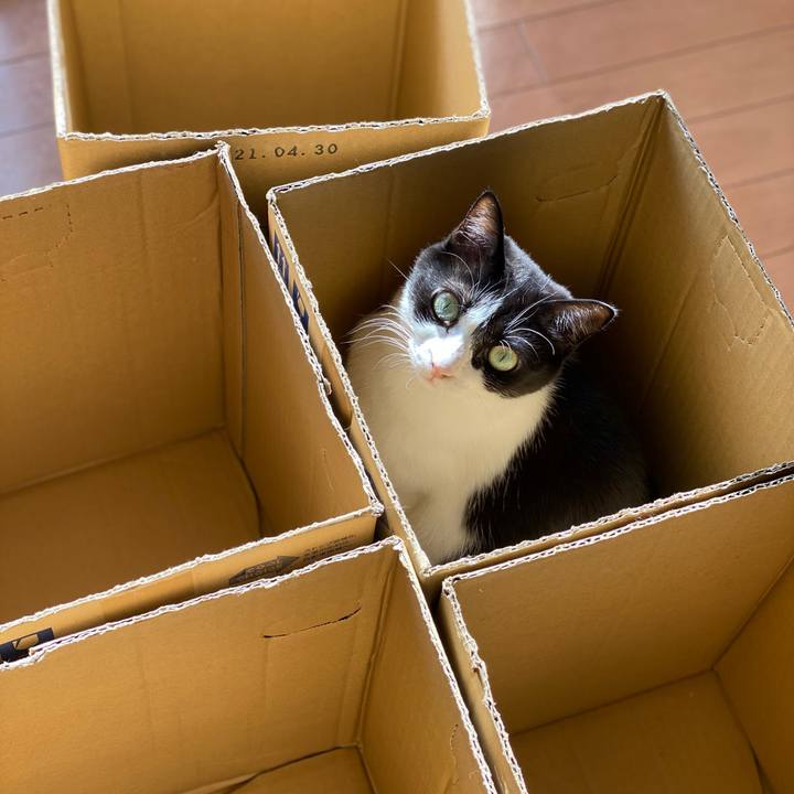 068a82b8 b160 458a be89 5e2799577c11 1609900597845