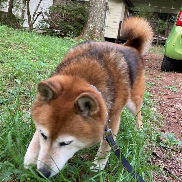 068a9360 d750 4bbf a7b2 519a61d781bb 1724461746336