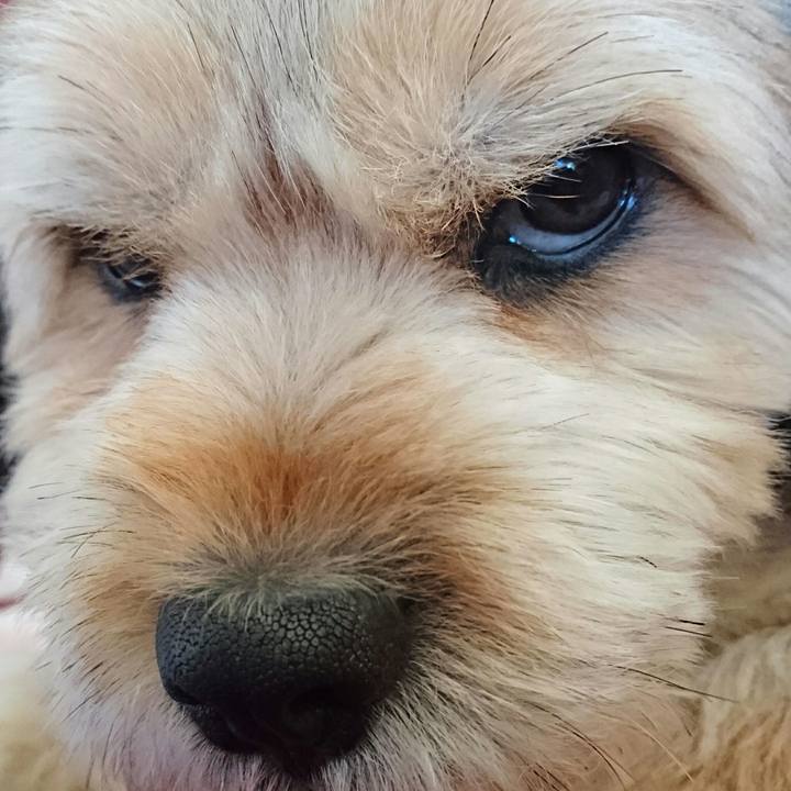 068ad0ca e3ec 4817 ae57 010a4c5b5ec4 1512962537406