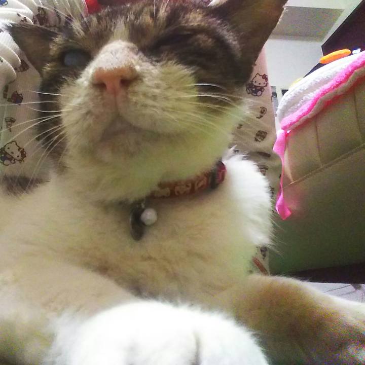 068ad50d d7de 4de3 9c04 11d3244f28ff 1563936686151