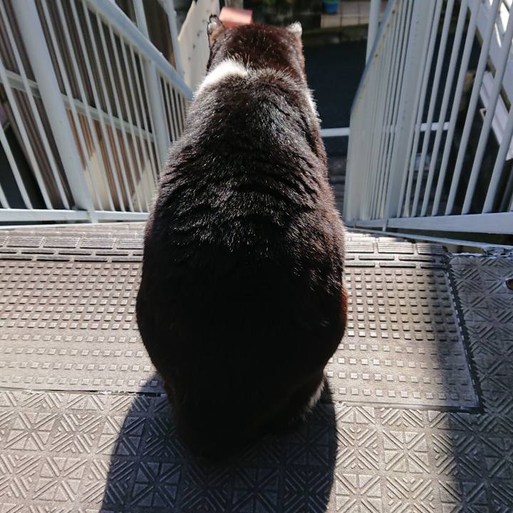 068b1879 e4d4 4a39 8a9c fdb3458e6a22 1586820053881