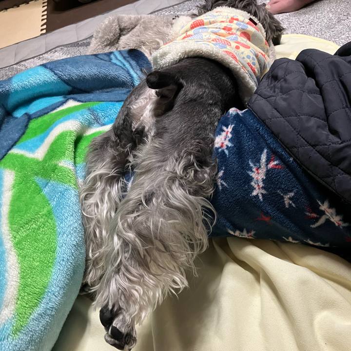 068b5018 ed9a 4d32 b240 7210d8533780 1773325046871