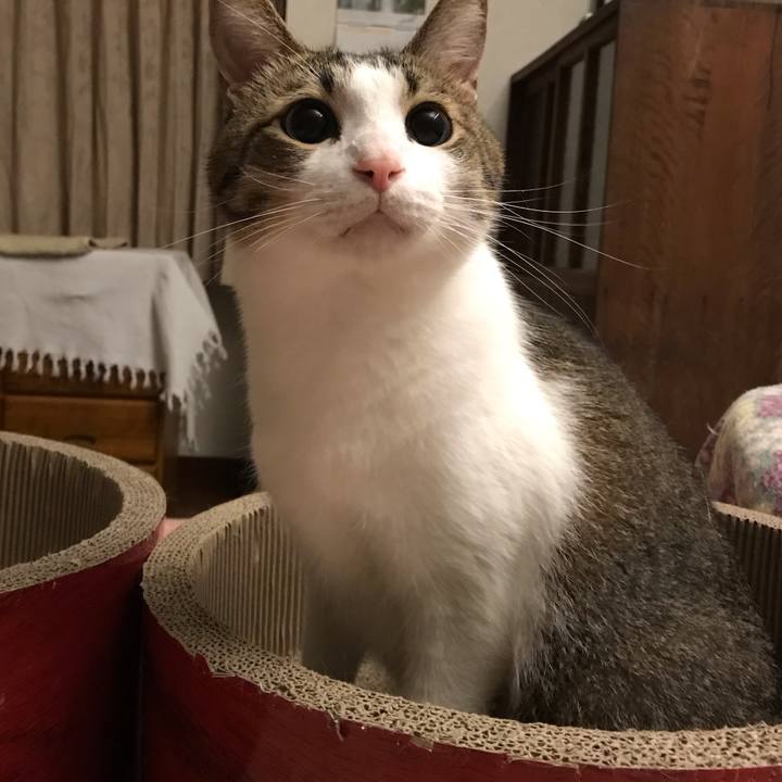 068b830a 8d6e 46f1 a914 fd04391db5c8 1602845489786