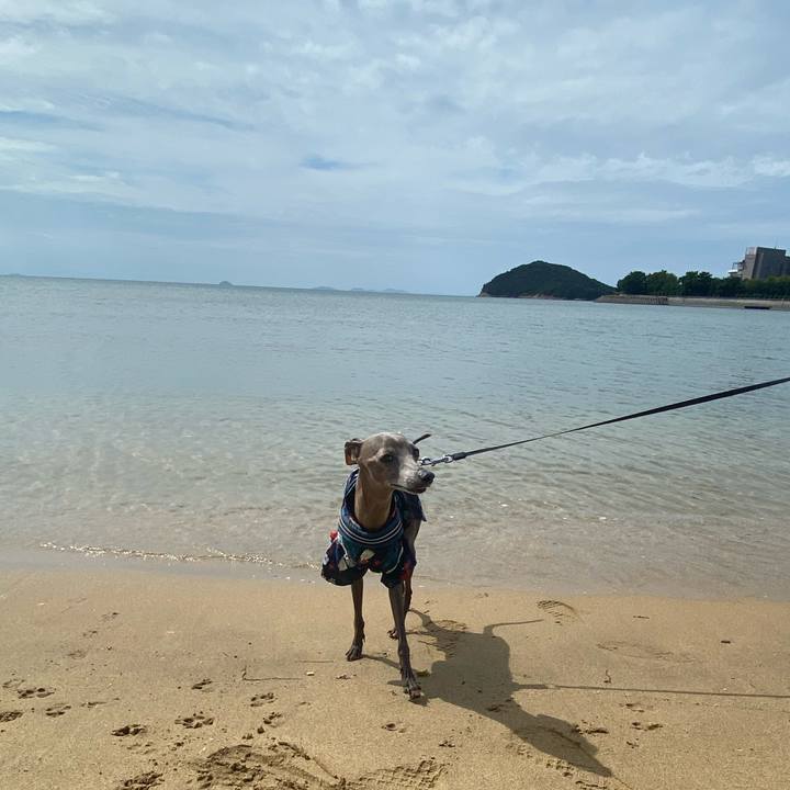 068bb818 efc9 4ffc b074 06d223149cb5 1759533544664