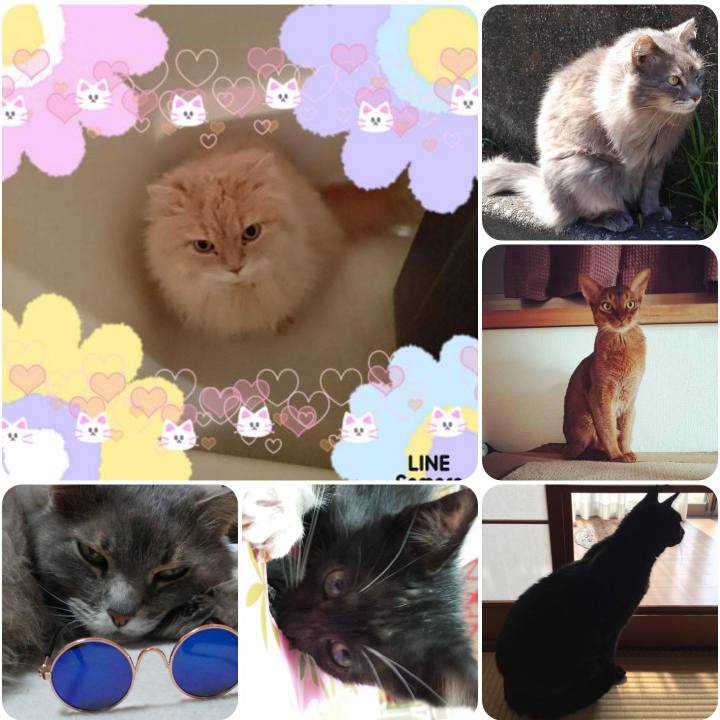 068bdde6 c09c 42cc ad5f ef1694808c7e 1555663660656