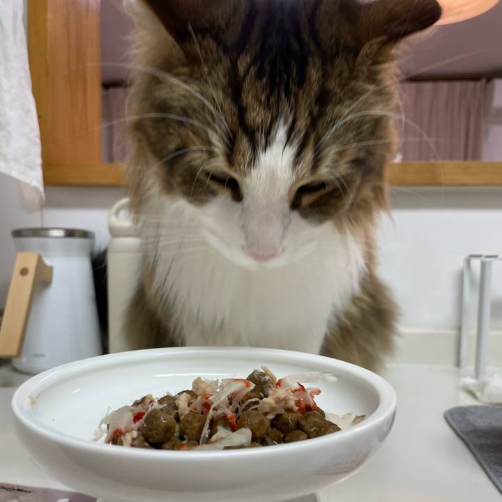 068c4894 5cc6 4c95 a9b3 35728ea10d80 1677057901262