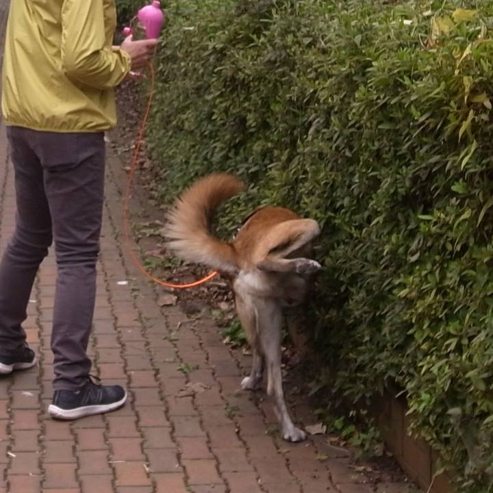 068c5d49 33bd 4127 8c82 c163a65f165a 1694734181672