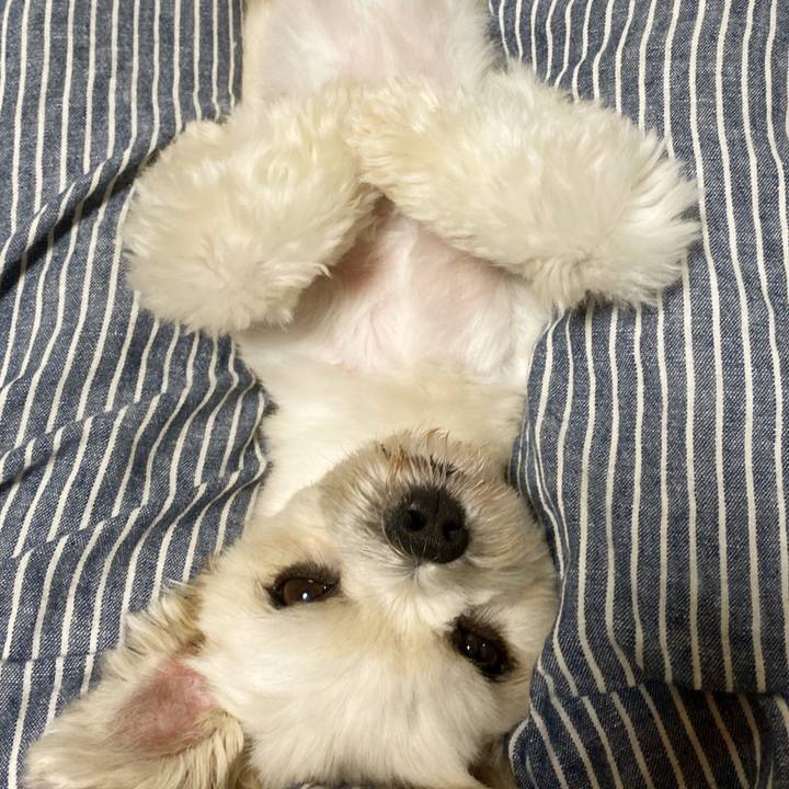 068c8d27 9f1a 401a befd 3629c69640af 1569763334324