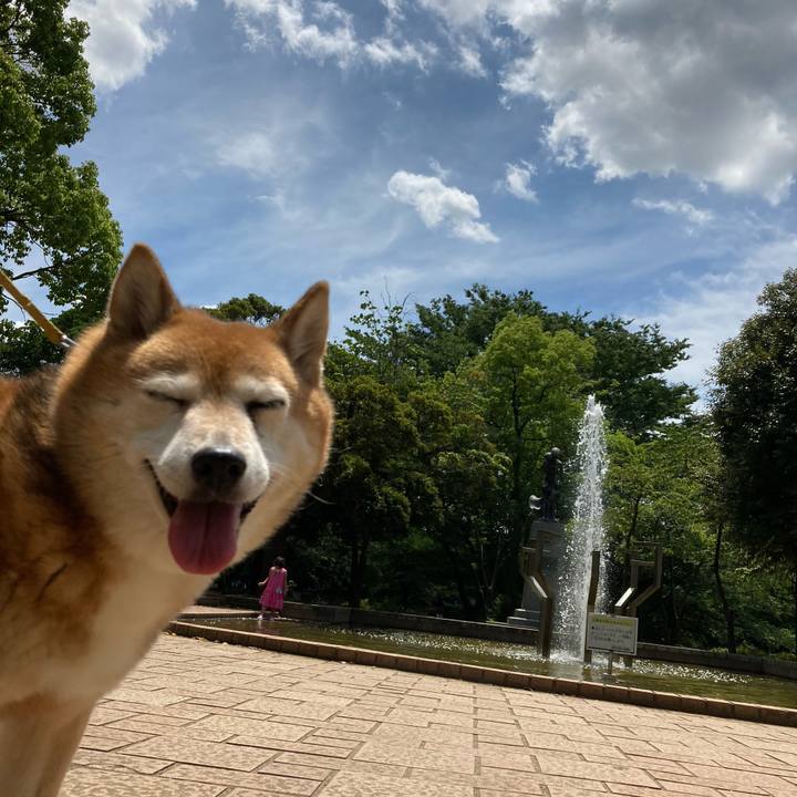 068c9454 dc29 4ace b668 43a2ed308b3a 1657340388706