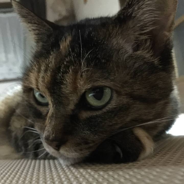 068cb7e4 cfae 4504 bc48 a1cddc7b2001 1522155686716