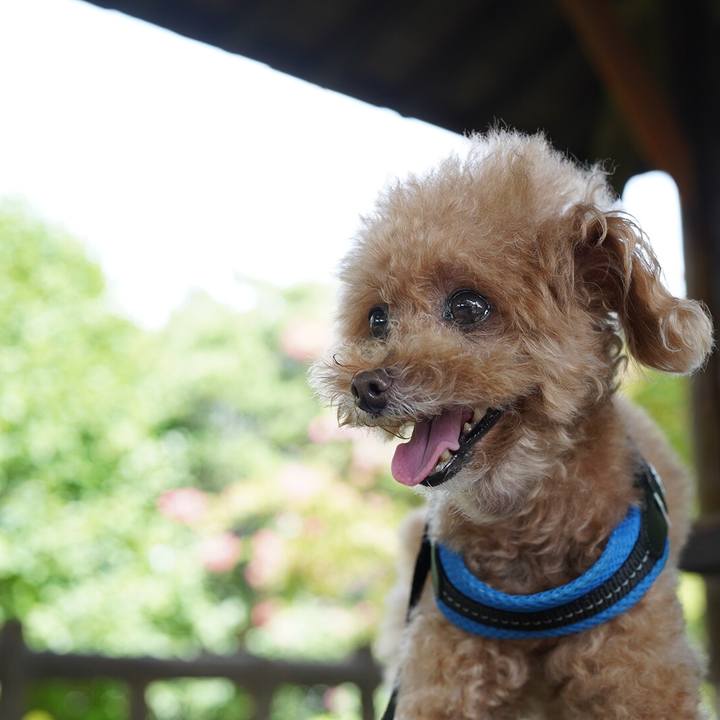 068cdf2e 3cfe 4283 8aeb ff9f2857f2a3 1665298236789