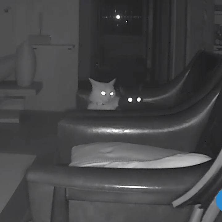 068cdf39 c2dc 4940 b603 cf53d2dcc6db 1538218767593