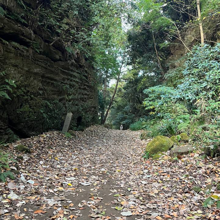 068cf5bd 747c 4f23 8077 615c4bbd7df3 1763961918153