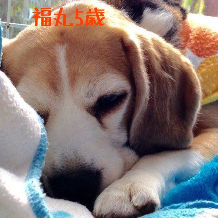 068cf948 d0f4 41c1 b811 08785559d3ec 1509520000551