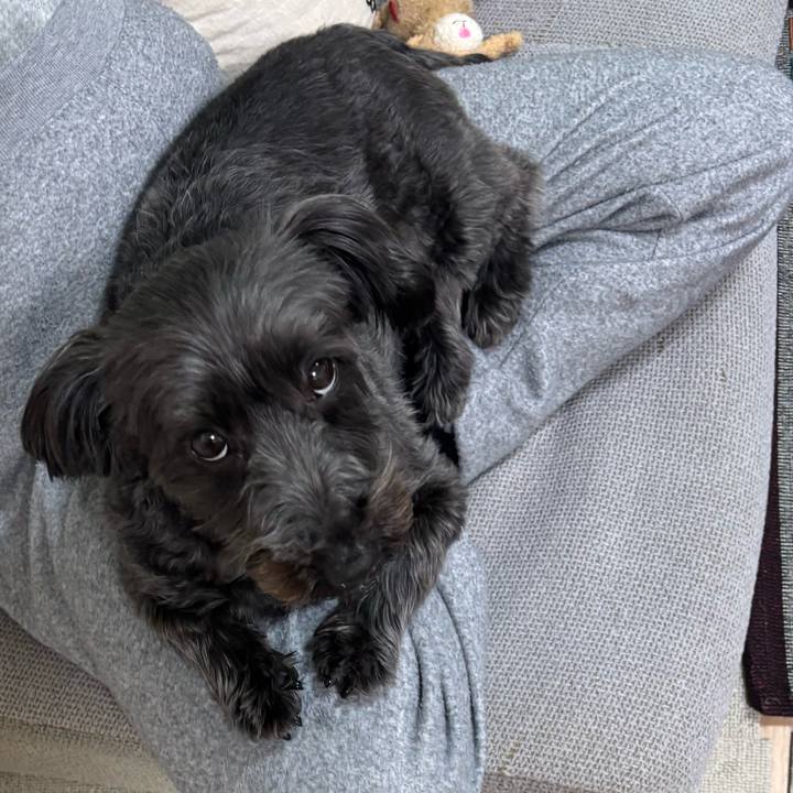 068d0572 ac28 4877 84bf 7b4371310490 1772626961146