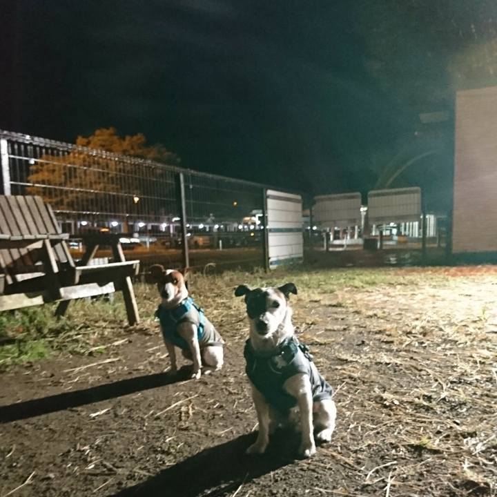 068d69b2 e04b 4b59 a2d1 432196ec007c 1570361965353