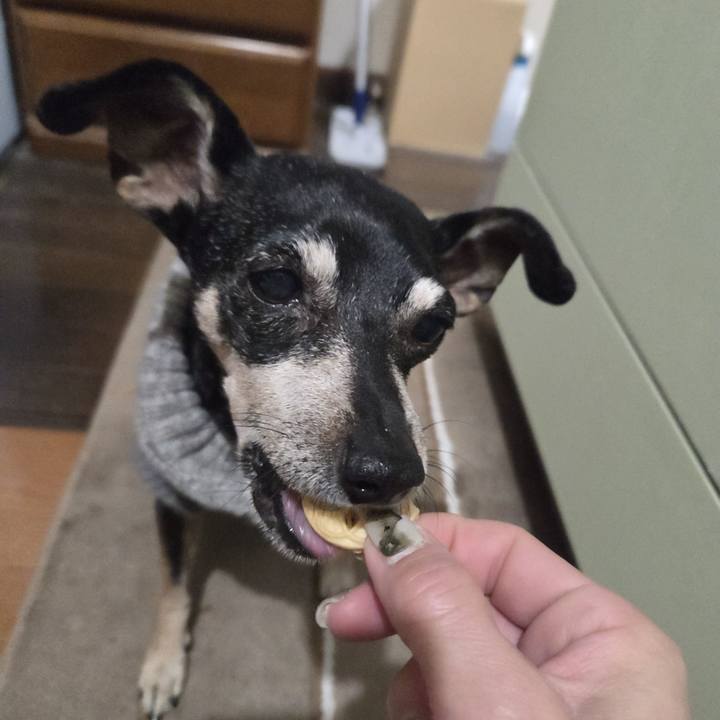 068da213 17e0 4a97 a4d8 ae8ca15c4990 1770580088329