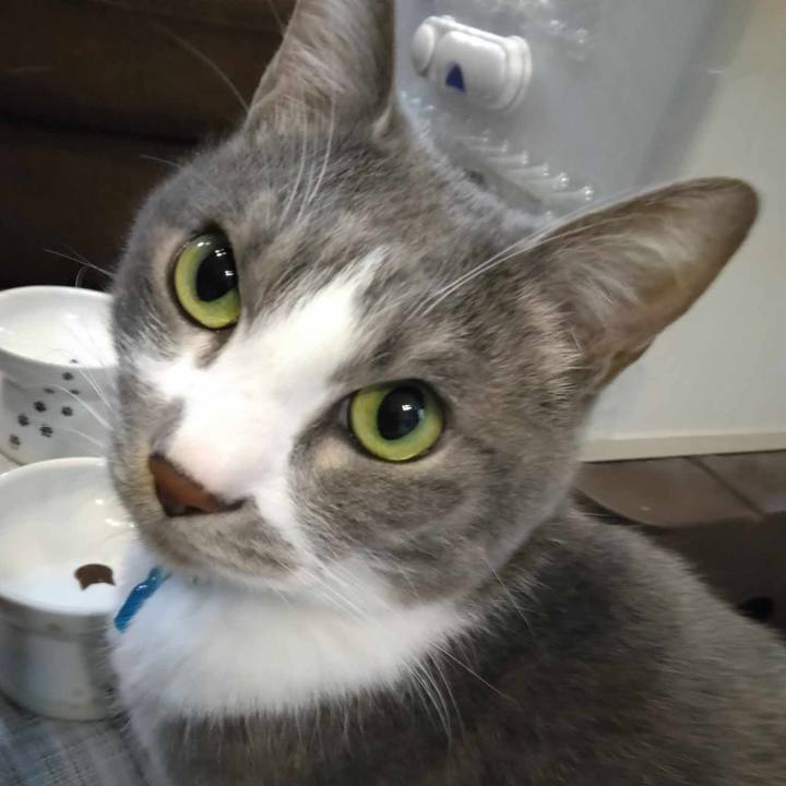 068dcc9e 9dc9 4e9c b586 c65a602c79bf 1707200444814