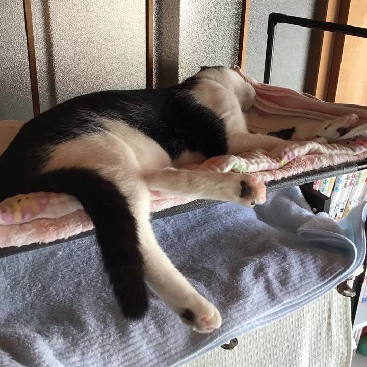 068e327f 6b0c 450d b6c5 d0faf83f2c0a 1633308272020