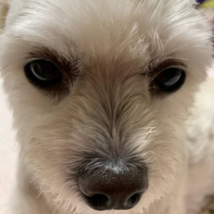 068e4883 8aa8 4405 8a84 9b8e1e723a82 1633181539209