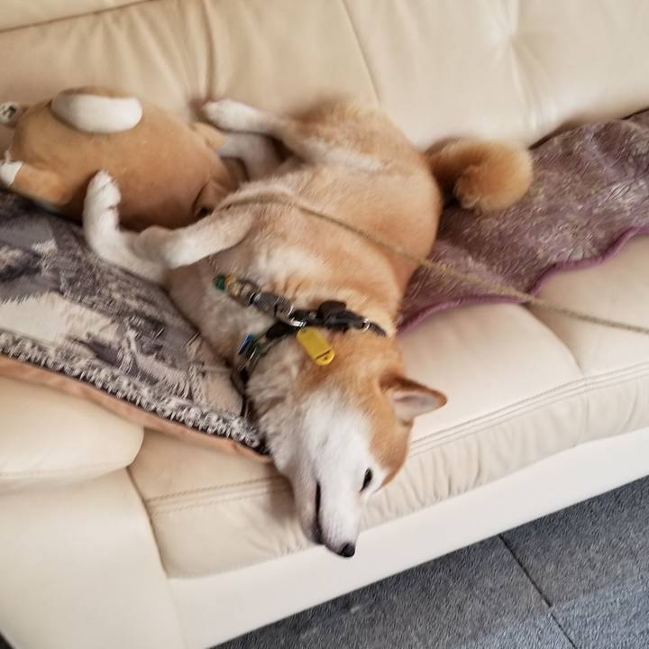 068e4b6a ba1d 477c 8cc2 c7a1adee6421 1627271777119